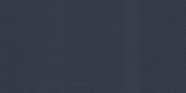 77021981_2.jpg