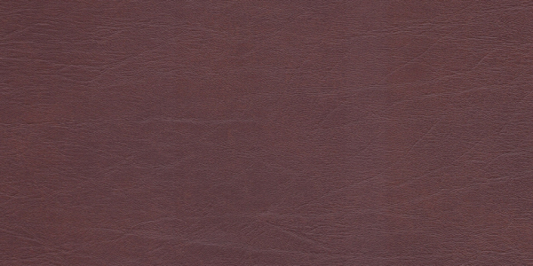 77011204_2.jpg
