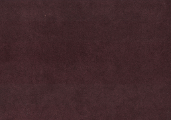 27304422.jpg