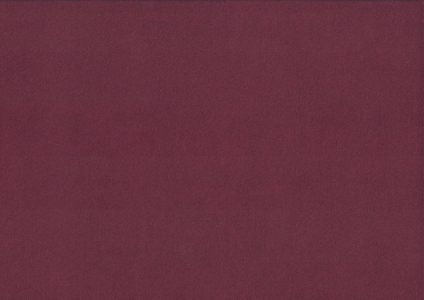 27305007.jpg