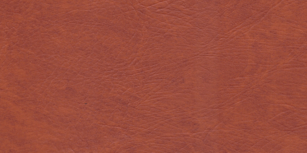 77011270_2.jpg