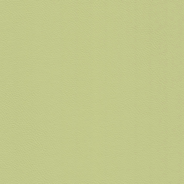 77022394.jpg