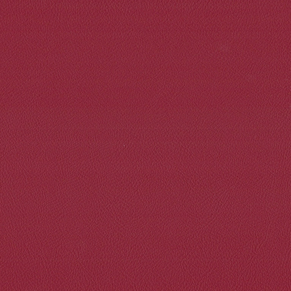 77014641.JPG