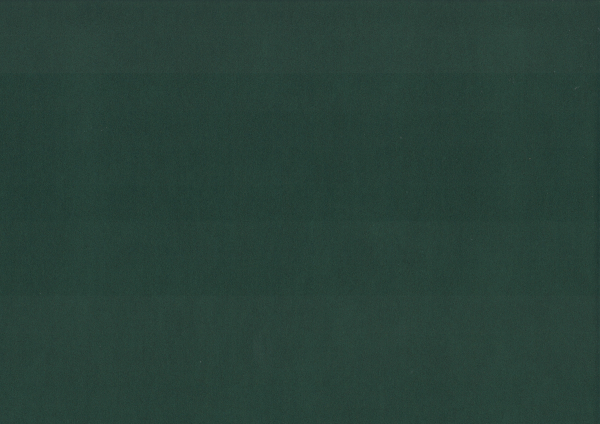 27305065.jpg