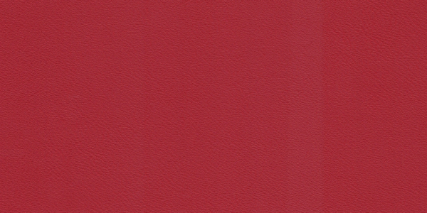 77013106_2.jpg
