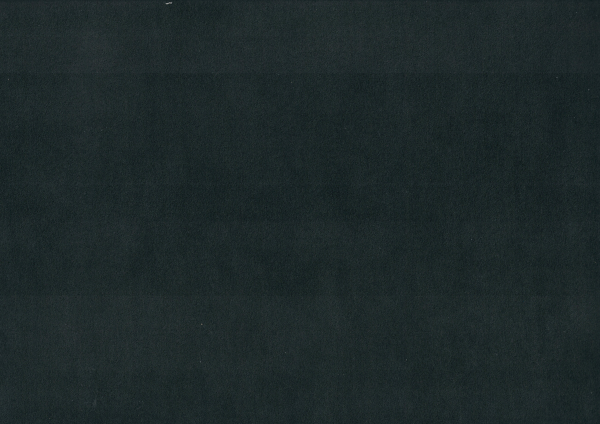 27304456.jpg