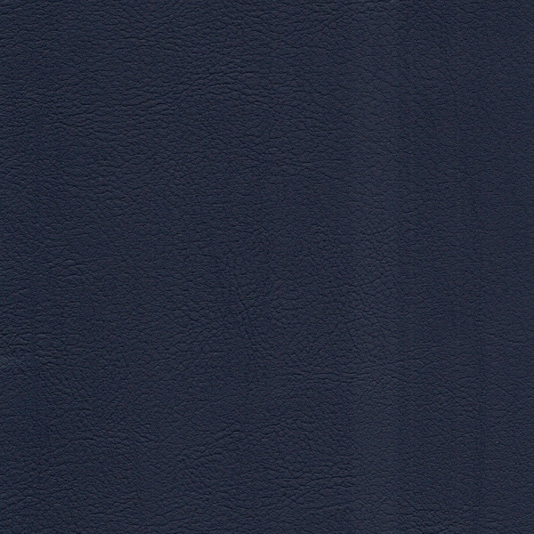 77091273.jpg