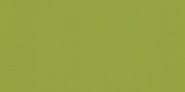 77022794_2.jpg